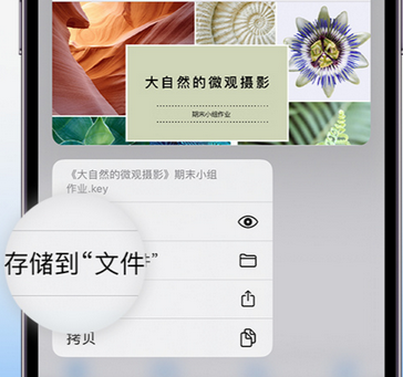 山城apple维修中心分享iPhone文件应用中存储和找到下载文件