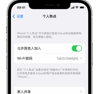 山城apple服务站点分享iPhone上个人热点丢失了怎么办 