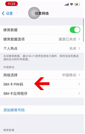 山城苹果14维修网分享如何给iPhone14的SIM卡设置密码 