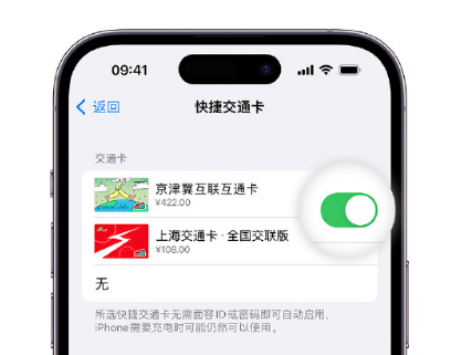 山城apple维修点分享iPhone上更换Apple Pay快捷交通卡手绘卡面 