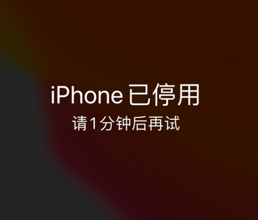 山城苹果手机维修分享:iPhone 显示“不可用”或“已停用”怎么办？还能保留数据吗？ 