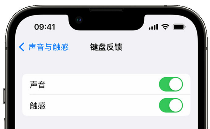 山城苹果手机维修分享iPhone 14触感键盘使用方法 