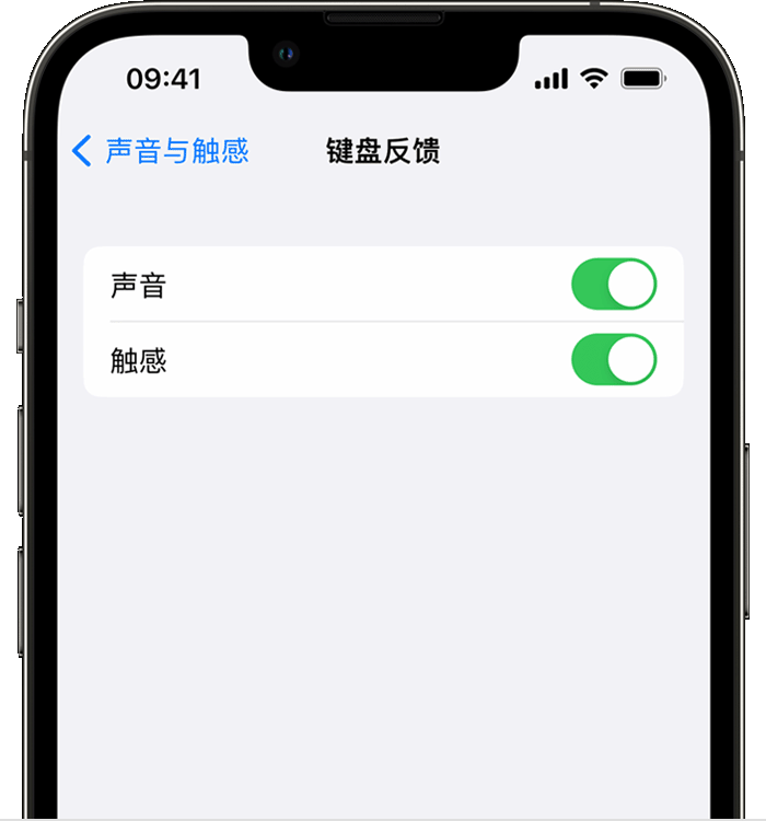 山城苹果14维修店分享如何在 iPhone 14 机型中使用触感键盘 