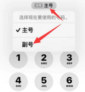 山城苹果14维修店分享iPhone 14 Pro Max使用副卡打电话的方法 