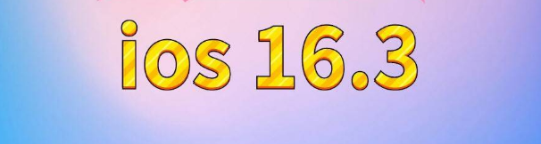 山城苹果服务网点分享苹果iOS16.3升级反馈汇总 