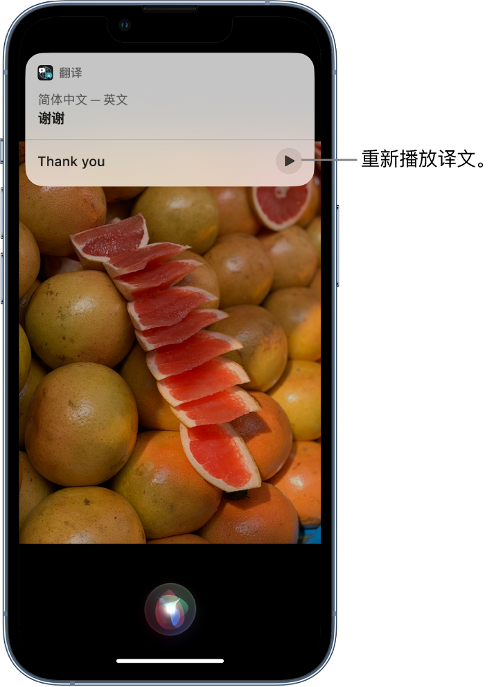 山城苹果14维修分享 iPhone 14 机型中使用 Siri：了解 Siri 能帮你做什么 